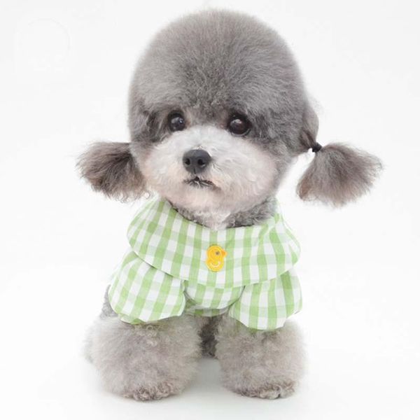 dog apparel https://detail.1688.com/offer/613011396089.htmlspm=a2615.7691456.autotrace-offergeneral.19.77cb6fachfhntq
dog apparel https://detail.1688.com/offer/613011396089.htmlspm=a2615.7691456.autotrace-offergeneral.19.77cb6fachfhntq