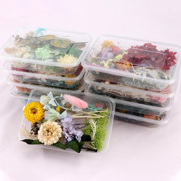 decorative flowers & wreaths pressed flower mixed dried diy art floral decors collection gift craft home hfd889
decorative flowers & wreaths pressed flower mixed dried diy art floral decors collection gift craft home hfd889