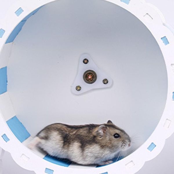 small animal supplies hamster running exercise wheel sport silent transparent mute jogging spinning treadmill pet accessories
small animal supplies hamster running exercise wheel sport silent transparent mute jogging spinning treadmill pet accessories