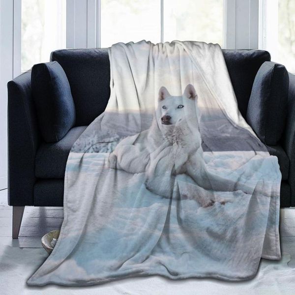 blankets 2021 husky printed blanket, balloon proof, super soft summer outdoor bed quilt, air conditioner quilt
blankets 2021 husky printed blanket, balloon proof, super soft summer outdoor bed quilt, air conditioner quilt