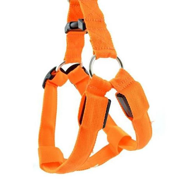 dog collars & leashes led illuminated fashion nylon chest strap solid pets casual length 43-60 cm supplies modern battery
dog collars & leashes led illuminated fashion nylon chest strap solid pets casual length 43-60 cm supplies modern battery