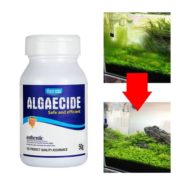 algaecide algae moss reduce control purification water safe efficient for aquarium pond pool & accessories
algaecide algae moss reduce control purification water safe efficient for aquarium pond pool & accessories