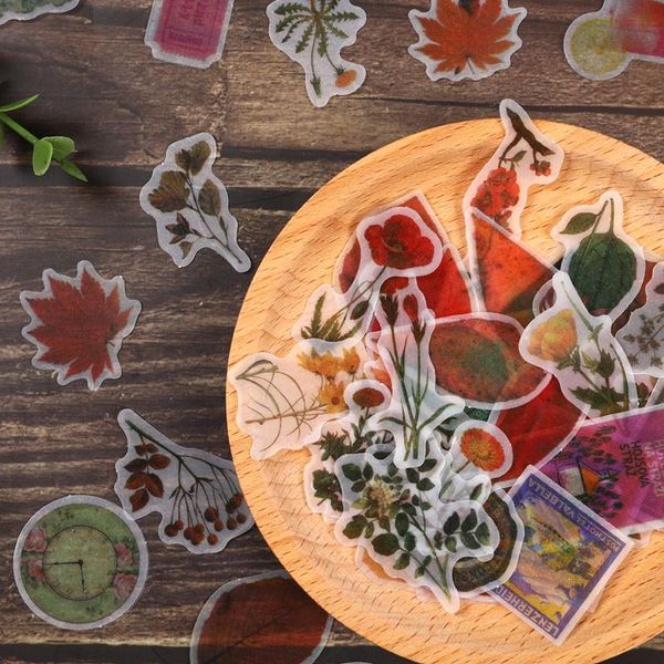 gift wrap mushroom small fresh korean ins decorative sticker scrapbook aesthetic diy stationery
gift wrap mushroom small fresh korean ins decorative sticker scrapbook aesthetic diy stationery