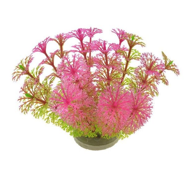 decorations fish tank decoration simulation aquatic plants aquarium supplies landscape plastic fake disc grass
decorations fish tank decoration simulation aquatic plants aquarium supplies landscape plastic fake disc grass
