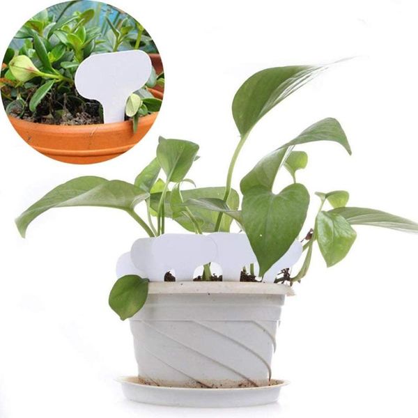 300pcs/set plant labels garden gardening label outdoor plastic pot marker stake watering equipments
300pcs/set plant labels garden gardening label outdoor plastic pot marker stake watering equipments