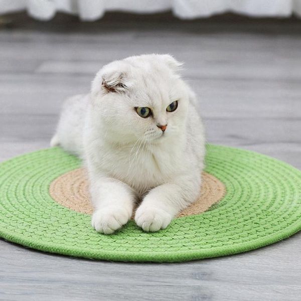 cat beds & furniture pet cotton thread woven mattress kitten cooling sleep bed mat scratch grinding claw pad blanket floor
cat beds & furniture pet cotton thread woven mattress kitten cooling sleep bed mat scratch grinding claw pad blanket floor