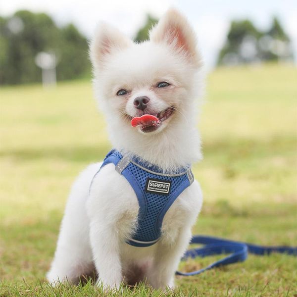 dog collars & leashes reflective safety pet nylon mesh harness and leash set for small medium dogs cat harnesses vest puppy chest strap s/m/
dog collars & leashes reflective safety pet nylon mesh harness and leash set for small medium dogs cat harnesses vest puppy chest strap s/m/