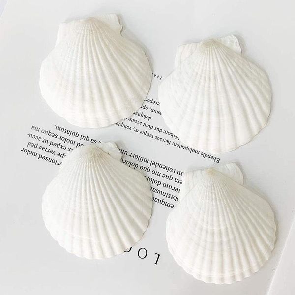 novelty items 2pc aquarium landscape natural seashells decorations scallop shells jewelry crafts wall decor ornament conch
novelty items 2pc aquarium landscape natural seashells decorations scallop shells jewelry crafts wall decor ornament conch