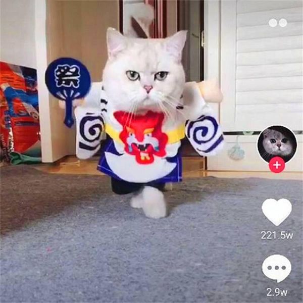dog apparel pet cat halloween costume party funny cosplay suits puppy kitten japan style outfit for dress up supplies
dog apparel pet cat halloween costume party funny cosplay suits puppy kitten japan style outfit for dress up supplies