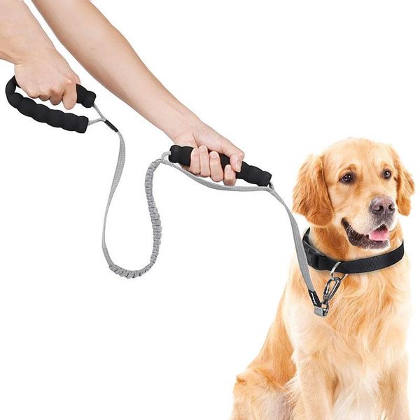 anti pull training dog leash no traffic sabsorbing bungge pet with 2 control handles collars & leashes
anti pull training dog leash no traffic sabsorbing bungge pet with 2 control handles collars & leashes