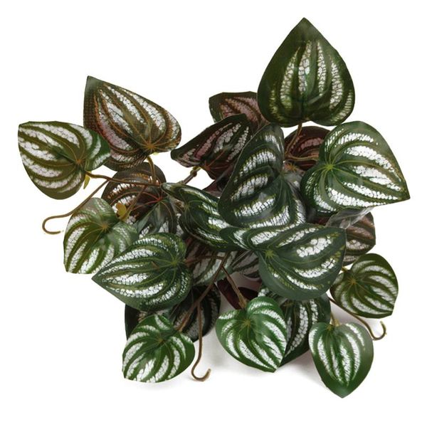 fork plastic plant artificial plants green grass wall garden home wedding decoration flowers fake leaves decorative & wreaths
fork plastic plant artificial plants green grass wall garden home wedding decoration flowers fake leaves decorative & wreaths