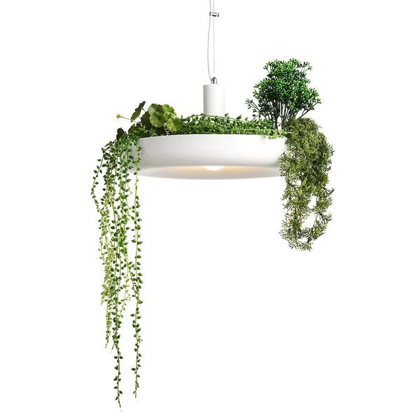 creative garden plant led pendant lights potted flower hang lamp kitchen hanging lamps for dining room indoor lighting fixtures
creative garden plant led pendant lights potted flower hang lamp kitchen hanging lamps for dining room indoor lighting fixtures