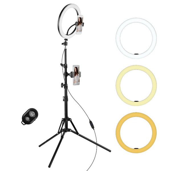 inch ring light kit with 2900-6600k video 10-level brightness remote control for pography live flash heads
inch ring light kit with 2900-6600k video 10-level brightness remote control for pography live flash heads