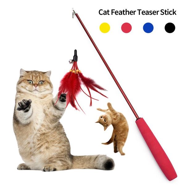 toy for cats interactive cat feather teaser stick wand pet retractable refill replacement catcher product dog toys
toy for cats interactive cat feather teaser stick wand pet retractable refill replacement catcher product dog toys