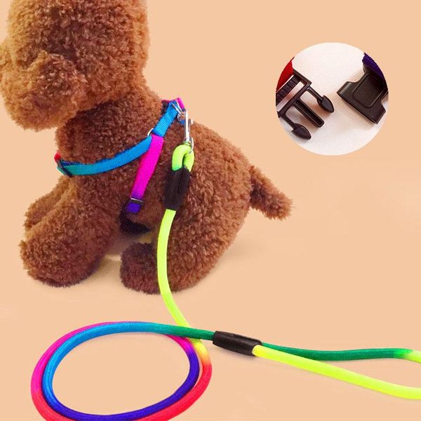 dog collars & leashes adjustable durable nylon pull rope rainbow collar pet harness walking fashion cute supplies accessory
dog collars & leashes adjustable durable nylon pull rope rainbow collar pet harness walking fashion cute supplies accessory