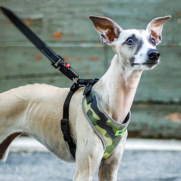 small and medium dogs explosion proof dog harness breathable close skin vest-style wearable accessories collars & leashes
small and medium dogs explosion proof dog harness breathable close skin vest-style wearable accessories collars & leashes