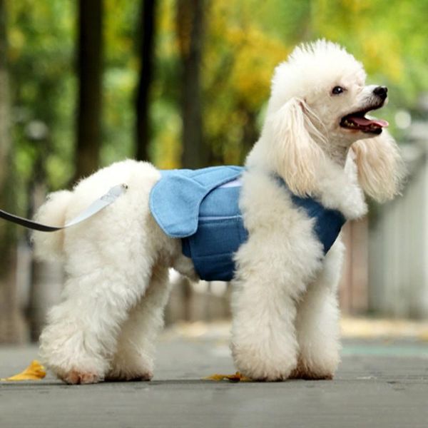 dog collars & leashes pet vest chest strap hand holding rope comfortable soft breathable mesh material cat travel outdoor accessories
dog collars & leashes pet vest chest strap hand holding rope comfortable soft breathable mesh material cat travel outdoor accessories