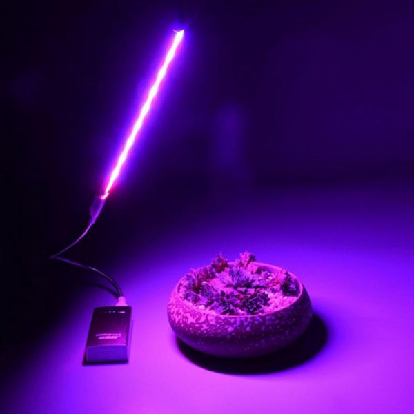 grow lights full spectrum led plant light lamp 5v 2.5w red blue uv ir growing hydroponics greenhouse flowers plants vegetables
grow lights full spectrum led plant light lamp 5v 2.5w red blue uv ir growing hydroponics greenhouse flowers plants vegetables