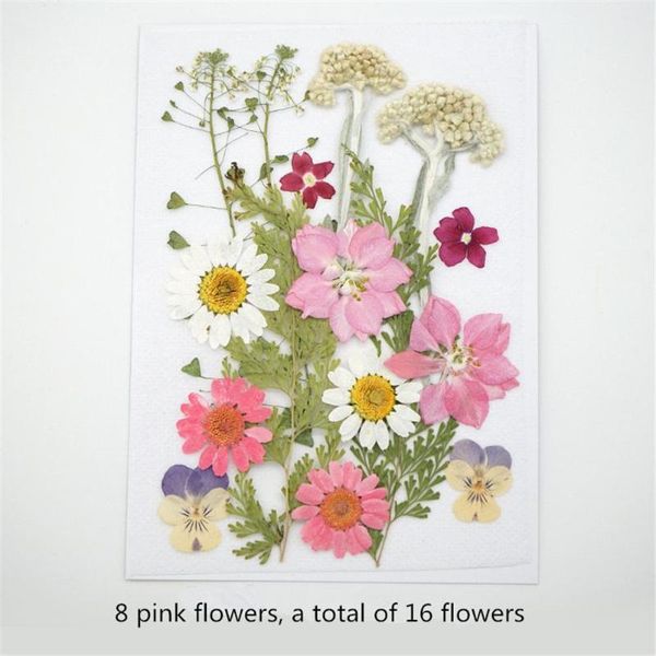 decorative flowers & wreaths dried for diy handmade jewelry bookmarks po frame makeup decoration nails décor
decorative flowers & wreaths dried for diy handmade jewelry bookmarks po frame makeup decoration nails décor