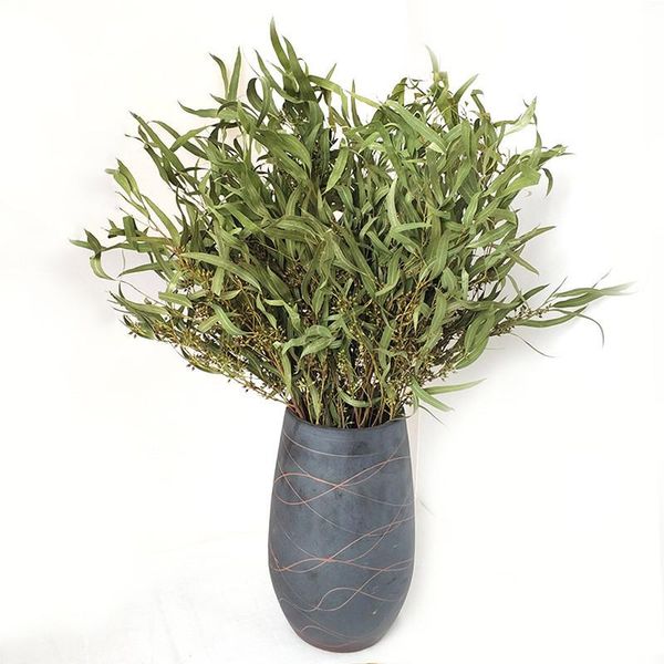 decorative flowers & wreaths 7 stems dried natural eucalyptus branches slender leaves flower arrangement decor no vase
decorative flowers & wreaths 7 stems dried natural eucalyptus branches slender leaves flower arrangement decor no vase