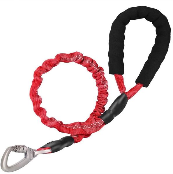 upgraded bungee dog leash for medium large dogs 6ft multifunctional absorbing padded handles walking training collars & leashes
upgraded bungee dog leash for medium large dogs 6ft multifunctional absorbing padded handles walking training collars & leashes
