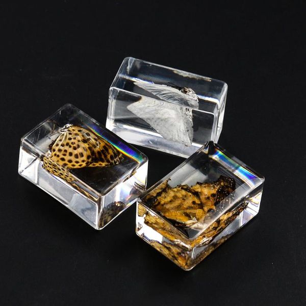 decorative objects & figurines 1pc natural butterfly amber resin crafts originality insects stone ornament paperweight home decoration acces
decorative objects & figurines 1pc natural butterfly amber resin crafts originality insects stone ornament paperweight home decoration acces