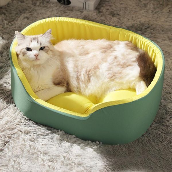 cat beds & furniture 3d washable kennel pet bed dog house large supplies puppy cushion recliner bench sofa
cat beds & furniture 3d washable kennel pet bed dog house large supplies puppy cushion recliner bench sofa