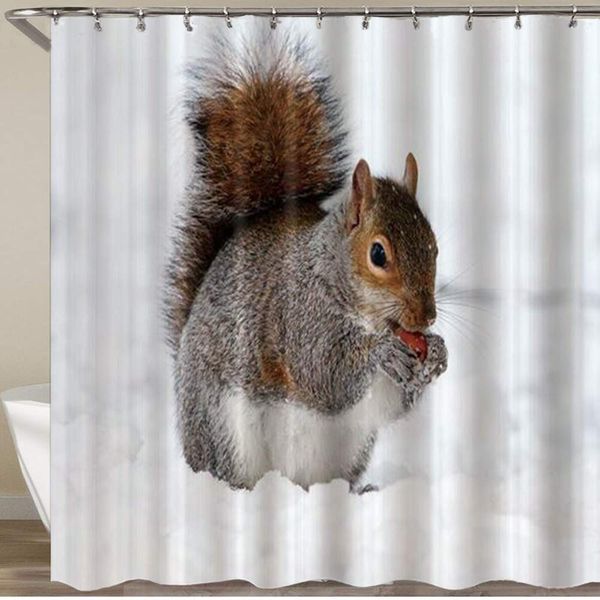 shower curtain,squirrel eating in snow winter cute animal white gray,polyester fabric waterproof bath curtains hooks included -
shower curtain,squirrel eating in snow winter cute animal white gray,polyester fabric waterproof bath curtains hooks included -