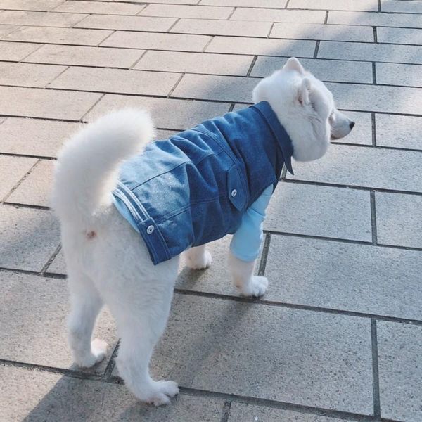 dog apparel pets product big dogs supplies fashion jean vest for husky labrador japanese akita samoyed winter clothes
dog apparel pets product big dogs supplies fashion jean vest for husky labrador japanese akita samoyed winter clothes