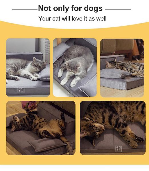 kennels & pens ufbemo luxury dog couch sofa cat bed memory foam small siz for puppy pets waterproof solid dogs removable cover suede
kennels & pens ufbemo luxury dog couch sofa cat bed memory foam small siz for puppy pets waterproof solid dogs removable cover suede
