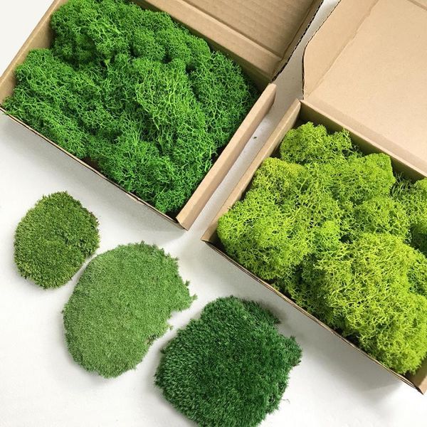 decorative flowers & wreaths 20g dry moss artificial green plant immortal fake flower grass home room wall diy mini accessories
decorative flowers & wreaths 20g dry moss artificial green plant immortal fake flower grass home room wall diy mini accessories