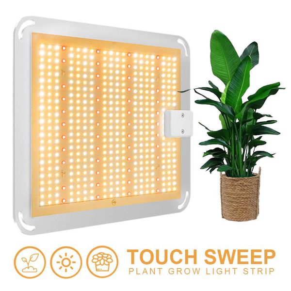 grow lights brand indoor high power plant light led1000w fill dual control greenhouse growth
grow lights brand indoor high power plant light led1000w fill dual control greenhouse growth
