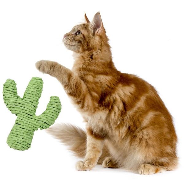 cat toys pet interactive toy for cats kitten grinding claw molar cactus woven by paper rope
cat toys pet interactive toy for cats kitten grinding claw molar cactus woven by paper rope