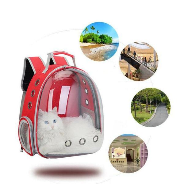 cat carriers,crates & houses lanlan transparent space shoulders bag with breathable holes for pet outdoor backpack cage
cat carriers,crates & houses lanlan transparent space shoulders bag with breathable holes for pet outdoor backpack cage