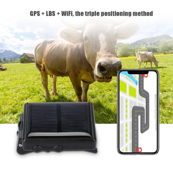 anti-lost alarm portable wifi animal gsm gprs gps locator waterproof solar power tracker for cow
anti-lost alarm portable wifi animal gsm gprs gps locator waterproof solar power tracker for cow