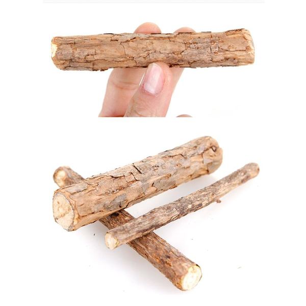 cat toys s/m/l 20pcs cleaning teeth natural catnip pet molar toothpaste matatabi actinidia fruit silvervine sticks
cat toys s/m/l 20pcs cleaning teeth natural catnip pet molar toothpaste matatabi actinidia fruit silvervine sticks