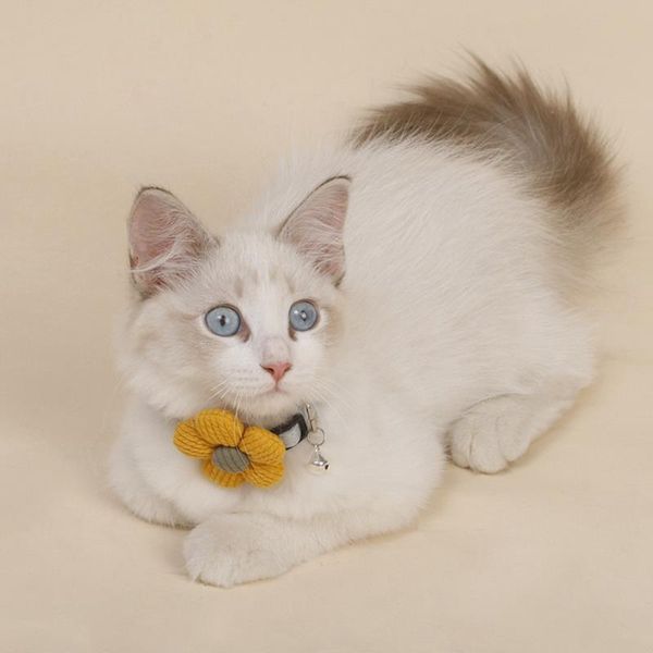 cat collars & leads 1pc daisy flower pattern kitten collar with bell cut breakaway adjustable cats puppy pet supplies
cat collars & leads 1pc daisy flower pattern kitten collar with bell cut breakaway adjustable cats puppy pet supplies