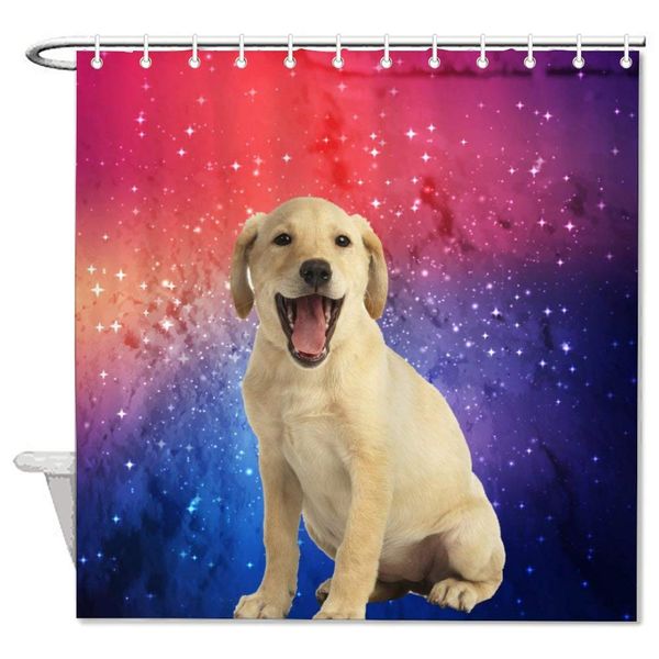 dog vertebrate dog breed mammal labrador retriever retriever carnivore golden retriever yellow bath decorative shower curtain
dog vertebrate dog breed mammal labrador retriever retriever carnivore golden retriever yellow bath decorative shower curtain