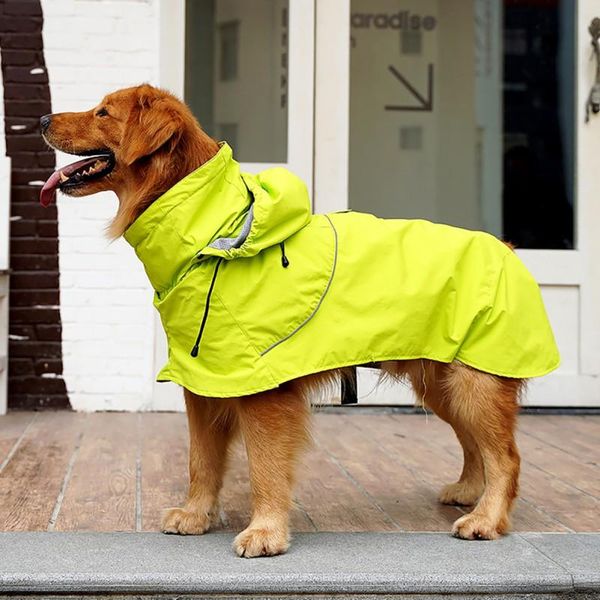 dog apparel waterproof nylon cloth large raincoat high collar adjustable medium detachable cap golden-haired
dog apparel waterproof nylon cloth large raincoat high collar adjustable medium detachable cap golden-haired