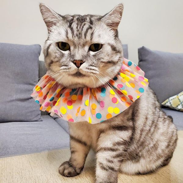 cat costumes pet saliva towel color dot yarn bib scarf bichon triangular binder small dog bandana
cat costumes pet saliva towel color dot yarn bib scarf bichon triangular binder small dog bandana