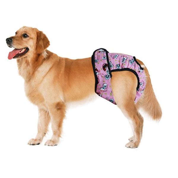 dog apparel female pet dogs physiological menstrual hygiene pants estrus small puppy cat clothes panties jeans
dog apparel female pet dogs physiological menstrual hygiene pants estrus small puppy cat clothes panties jeans