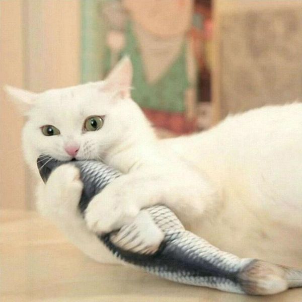 cat wagging catnip toy 28cm dancing moving floppy pet usb fish charging simulation electronic cats a3p5 toys
cat wagging catnip toy 28cm dancing moving floppy pet usb fish charging simulation electronic cats a3p5 toys