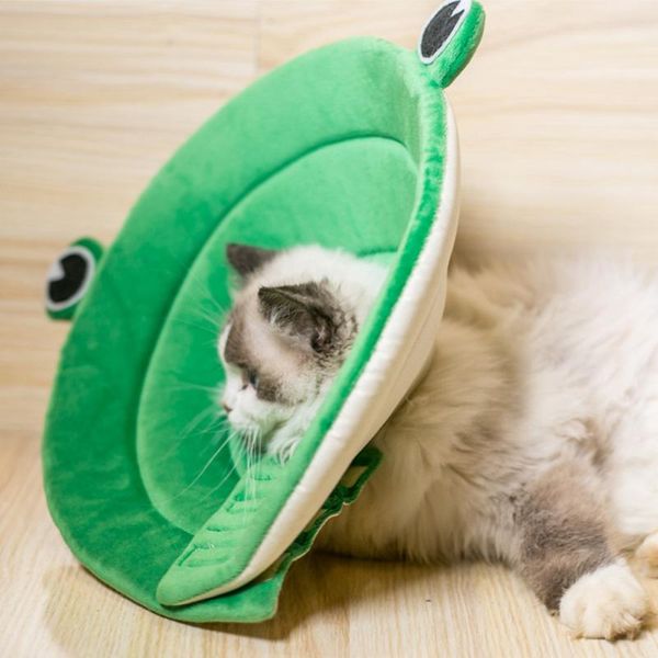 cat collars & leads pet elizabethan collar daily adjustable easy use home accessories magic sticker frog shape recovery durable soft dog gif
cat collars & leads pet elizabethan collar daily adjustable easy use home accessories magic sticker frog shape recovery durable soft dog gif