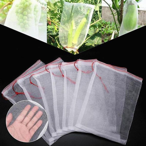 planters & pots 10pcs/lot garden vegetable grapes apples fruit protection bag pouch agricultural pest control anti-bird mesh bags grow
planters & pots 10pcs/lot garden vegetable grapes apples fruit protection bag pouch agricultural pest control anti-bird mesh bags grow