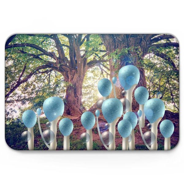 cushion/decorative pillow forest mushroom scenery doormat non-slip rug soft bath mats bathroom supplies carpet living room
cushion/decorative pillow forest mushroom scenery doormat non-slip rug soft bath mats bathroom supplies carpet living room