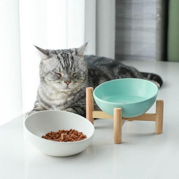 bowls ceramic cat bowl puppy with iron bracket stand water dog pet supplies wash basin drinking feeder wf
bowls ceramic cat bowl puppy with iron bracket stand water dog pet supplies wash basin drinking feeder wf