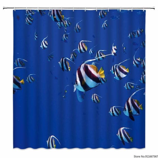 ocean fish shower curtain modern home decor tropical cluster of on blue fabric digital print,waterproof hooks included curtains
ocean fish shower curtain modern home decor tropical cluster of on blue fabric digital print,waterproof hooks included curtains
