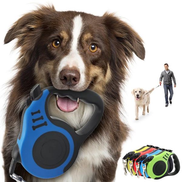 3/5m retractable dog leash automatic flexible cat traction rope leashes for small medium dogs pet products collars &
3/5m retractable dog leash automatic flexible cat traction rope leashes for small medium dogs pet products collars &