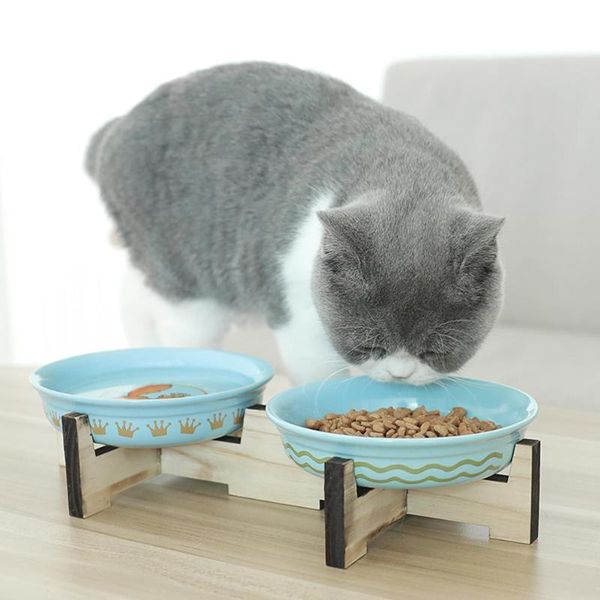 pet cats bowl with holder anti-slip cat dish feeder water perfect for and small dogs supplies bowls & feeders
pet cats bowl with holder anti-slip cat dish feeder water perfect for and small dogs supplies bowls & feeders