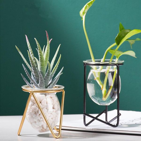 nordic style glass vase iron hydroponic plant flower golden black creative home office deskdecoration vases
nordic style glass vase iron hydroponic plant flower golden black creative home office deskdecoration vases